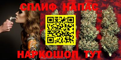 кокс Кандалакша